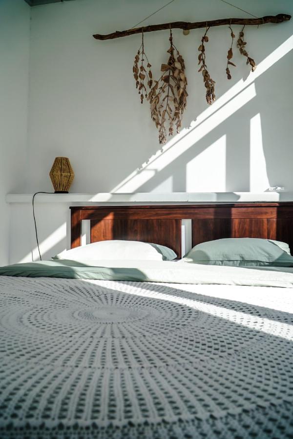 Tamaran House Hostel Las Palmas de Gran Canaria Ngoại thất bức ảnh